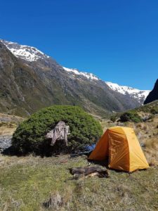 hunting in the great outdoors nz