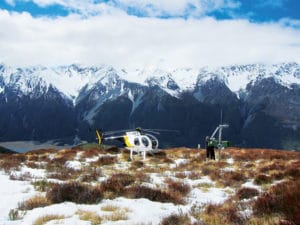 helicopter on the tussock nz