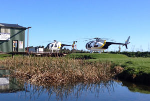 haast helipad